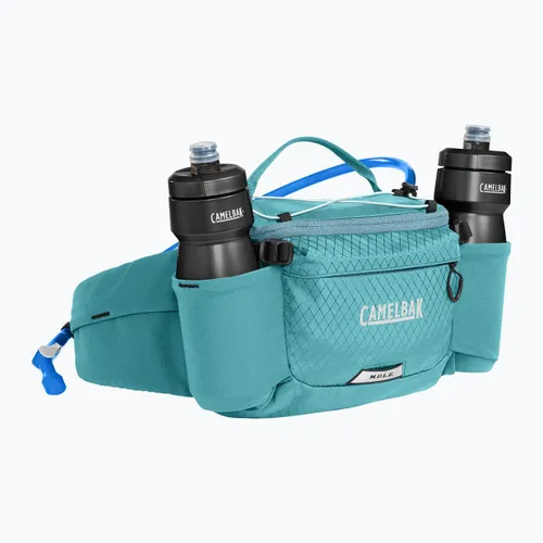 Сумка на пояс велосипедная CAMELBAK MULE 5 Waist Pack Kidney Carrying Case