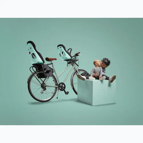 Детское велокресло THULE Yepp Nexxt 2 Maxi RM