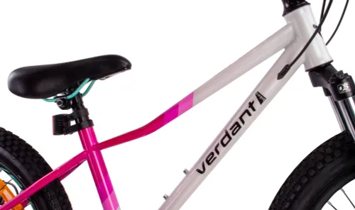 Rower dziecięcy SUN BABY Verdant Calix 20 dla dziewczynki Biało-różowo-miętowy