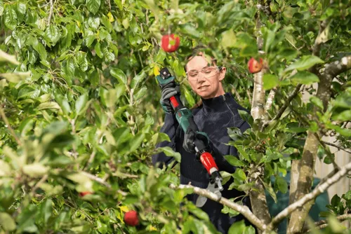 Sekator do gałęzi akumulatorowy BOSCH AdvancedPrune 18V-45 06008C5001