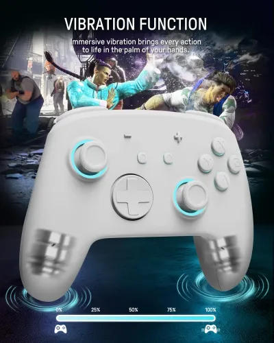 Adapter FUNLAB Firefly Pro Controller - Kakariko do Nintendo Switch / Switch 2 Bezprzewodowy