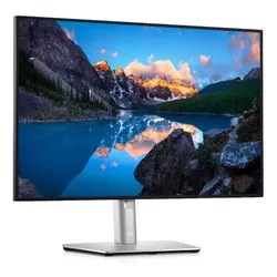 Monitor Dell UltraSharp U2421E 24" Full HD IPS 60Hz 8ms