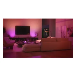 Centralka Philips Hue Bridge Pro Czarny
