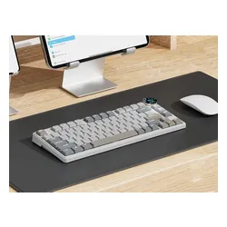 Klawiatura ROYAL KLUDGE RK N80 Pearly Dawn Brown Switch