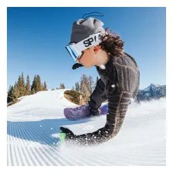 Deska snowboardowa Bataleon Whatever