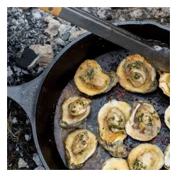 LODGE Cast Iron 38 cm - patelnia żeliwna