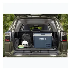 Lodówka kompresorowa Igloo ICF40 39 l blue