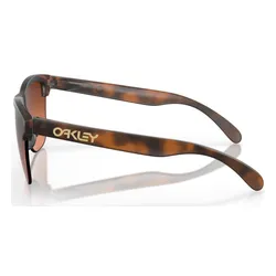 Велосипедные очки OAKLEY Frogskins Lite PRIZM Brown Gradient