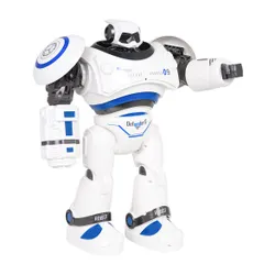 Sterowany wielofunkcyjny robot