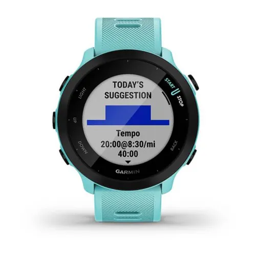 Smartwatch Garmin Forerunner 55 42mm GPS синий