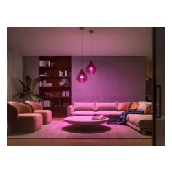 Żarówka LED Philips Hue White and Colour Ambiance E27 2 szt. Zestaw startowy