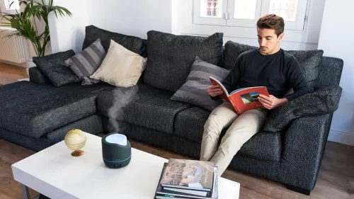 Nawilżacz powietrza Cecotec PureAroma 500 Smart Szary