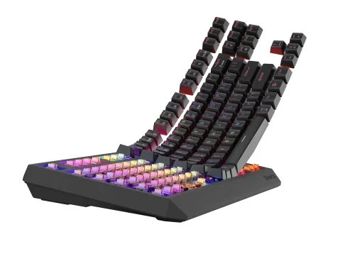 Klawiatura mechaniczna Genesis Thor 230 TKL US RGB Outemu Panda Czarny