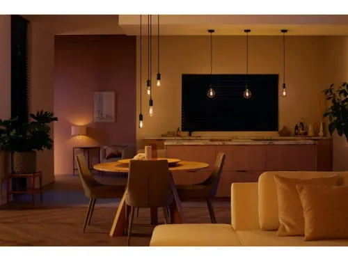 Żarówka LED Philips Hue White Ambiance Filament Globe G125 E27 1 szt.