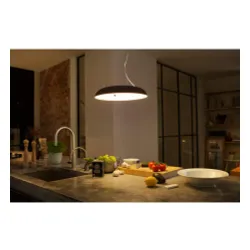 Oprawa wisząca Philips Hue White Ambiance Amaze 929003054901 Czarny