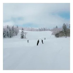 Deska Rome Mechanic 2026