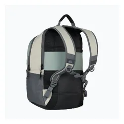 Plecak miejski Quiksilver Freeday 20 l bran