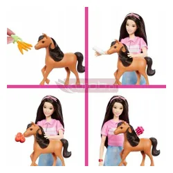 LALKA BARBIE Renee Opieka nad kucykiem zestaw z serialu "Zagadki Barbie" HXJ40