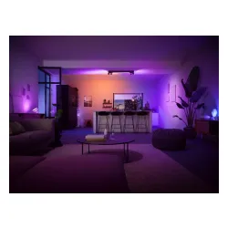 Reflektor Philips punktowy Centris 4 Czarny