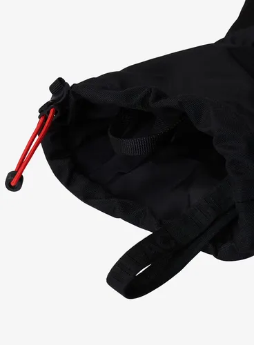 Rękawice narciarskie The North Face Montana Ski Glove - tnf black
