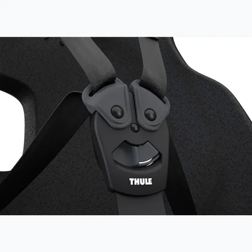 Детское велокресло THULE Yepp Nexxt 2 Maxi RM