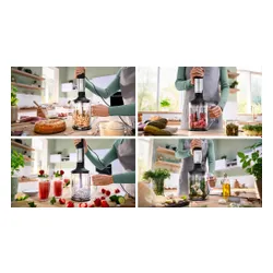 Blender BOSCH ErgoMaster MSM6M652