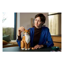 LEGO 21376 Ideas - Rudy kot