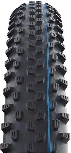 Schwalbe Racing Ray Evolution Lastikleri