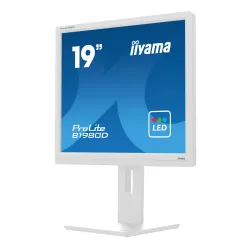 Monitor iiyama ProLite B1980D-W5 19" HD TN 60Hz 5ms