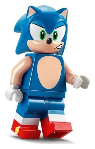 LEGO Sonic 77001 Sonic i biwakowa bitwa