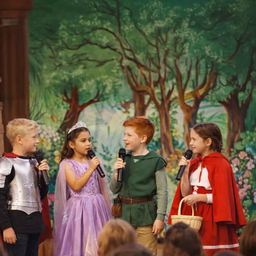 Zestaw mikrofonowy MUSICMATE MM-850 OpenStage