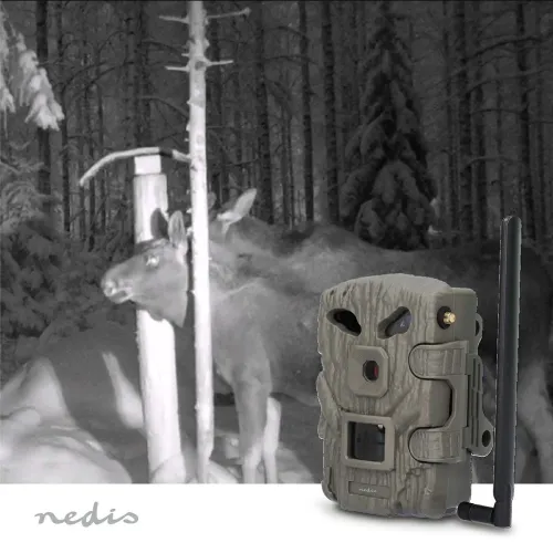 Fotopułapka Nedis WCAM460GN
