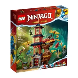 LEGO Ninjago 71795 Świątynia smoczej energii