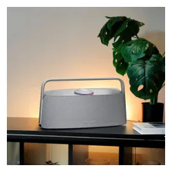Głośnik mobilny TRONSMART Fiitune X30 Szary