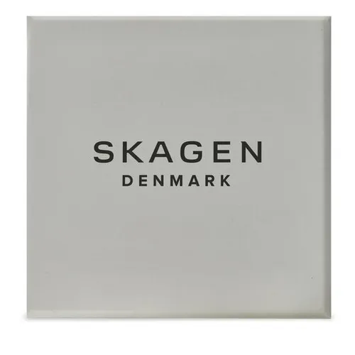 Skagen SKW6872 Gümüş Saat