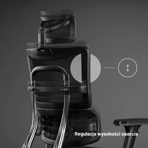 Fotel DIABLO CHAIRS V-Master Czarny