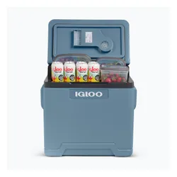 Lodówka turystyczna termoelektryczna Igloo IE42 ACDC 42 l ice blue