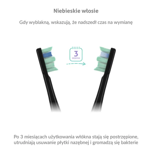 Szczoteczka soniczna TRUELIFE SonicBrush Clean30 Czarny