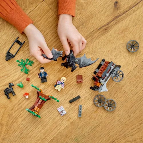 LEGO 76400 Harry Potter Testrale i kareta z Hogwartu