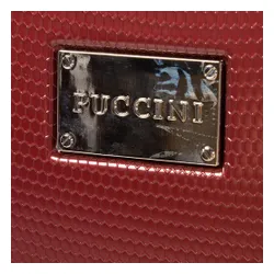 Средний жесткий чемодан Puccini Panama PC029B 3