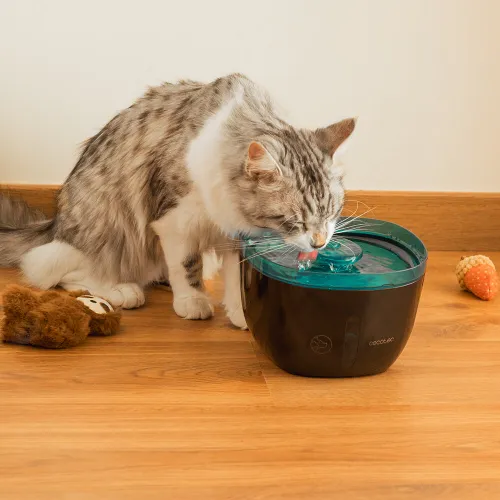 Fontanna dla zwierząt CECOTEC Pumba 2200 Refresh 09561