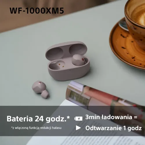 Słuchawki bezprzewodowe Sony WF-1000XM5 ANC Dokanałowe Bluetooth 5.3 Smoky Pink