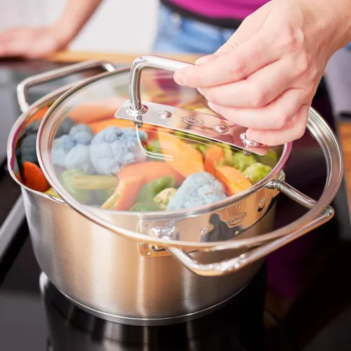 ROESLE Expertiso 5,8 l - garnek ze stali nierdzewnej z pokrywką