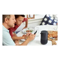 Bluetooth-Динамик Bose Portable Home Wi-Fi AirPlay Черный