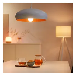 Inteligentna żarówka LED WIZ 929002449602 13W E27 WiFi
