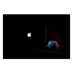 Głośnik Apple HomePod Mini black (MY5G2D/A)
