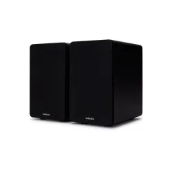 Kolumny Aiwa SP-A100 Czarny 2szt.