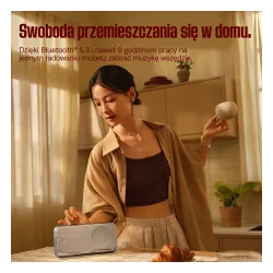 Głośnik Bluetooth Bose SoundLink Home Light Silver