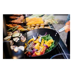 Grill gazowy CAMPINGAZ Select EXS Seria 4 12 + 2.3 kW 46 x 72 cm