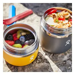 Termos na zupę 591ml Food Jar Hydro Flask - blackberry